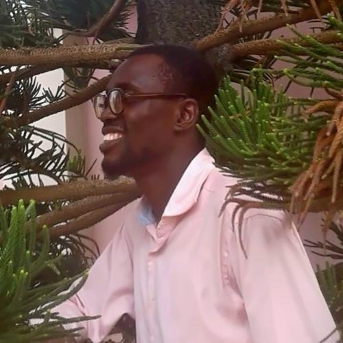 Malik Salami