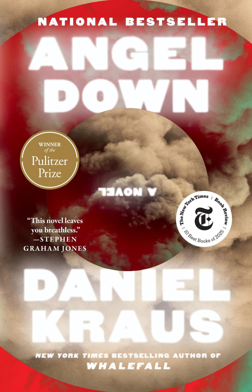Angel Down book cover