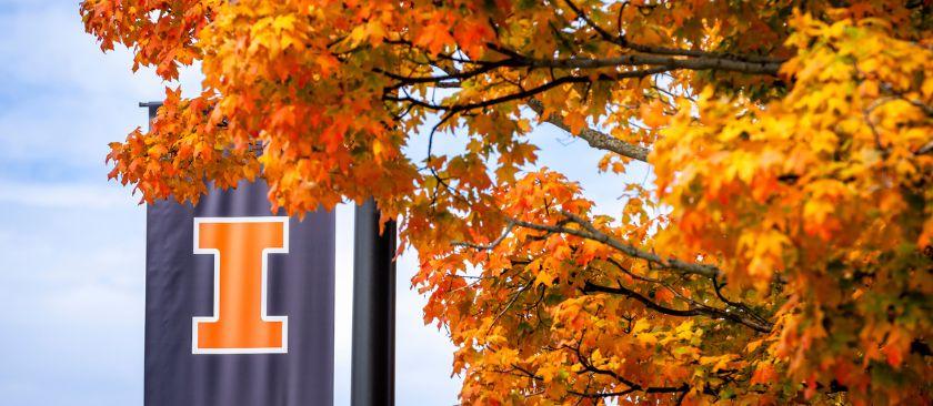 Fall trees_block I