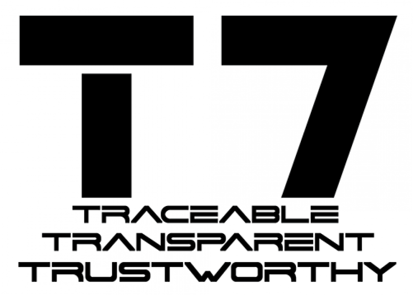 T7 Workshop logo